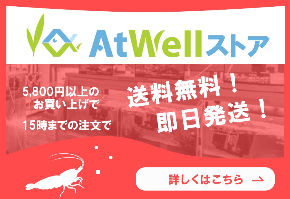 At Wellストア